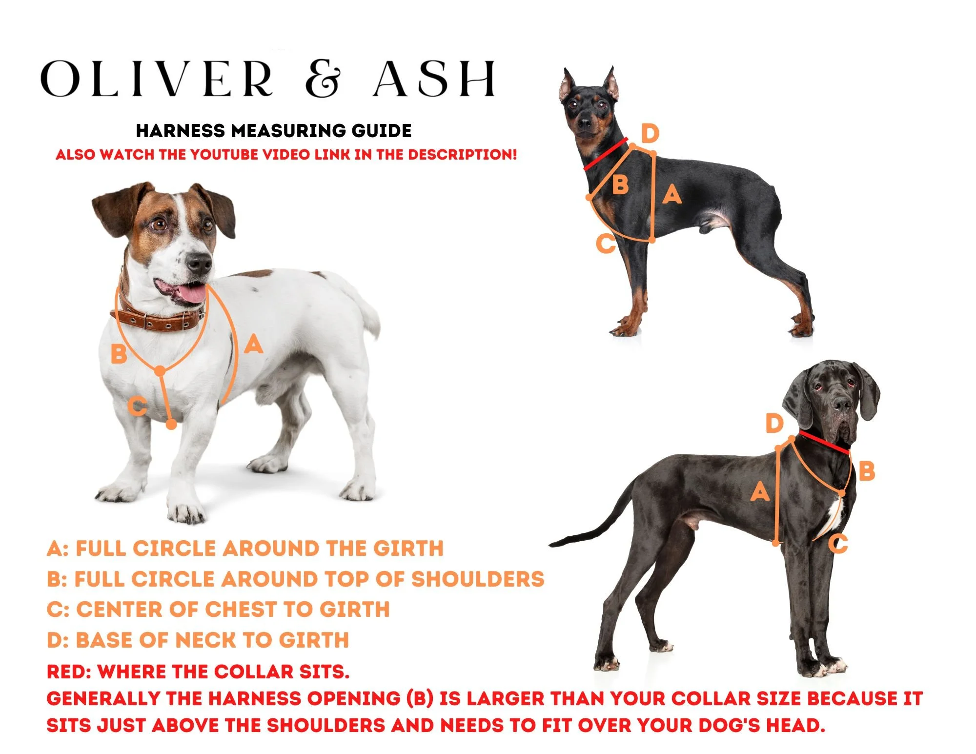 Fi Compatible Harness Oliver Ash Designs